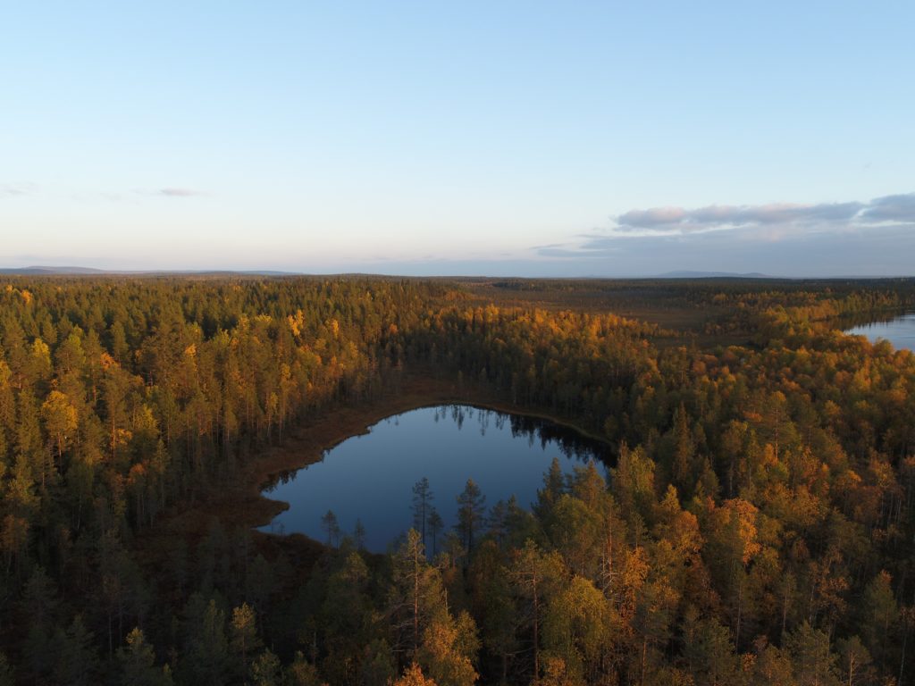 A pond in the wilderness