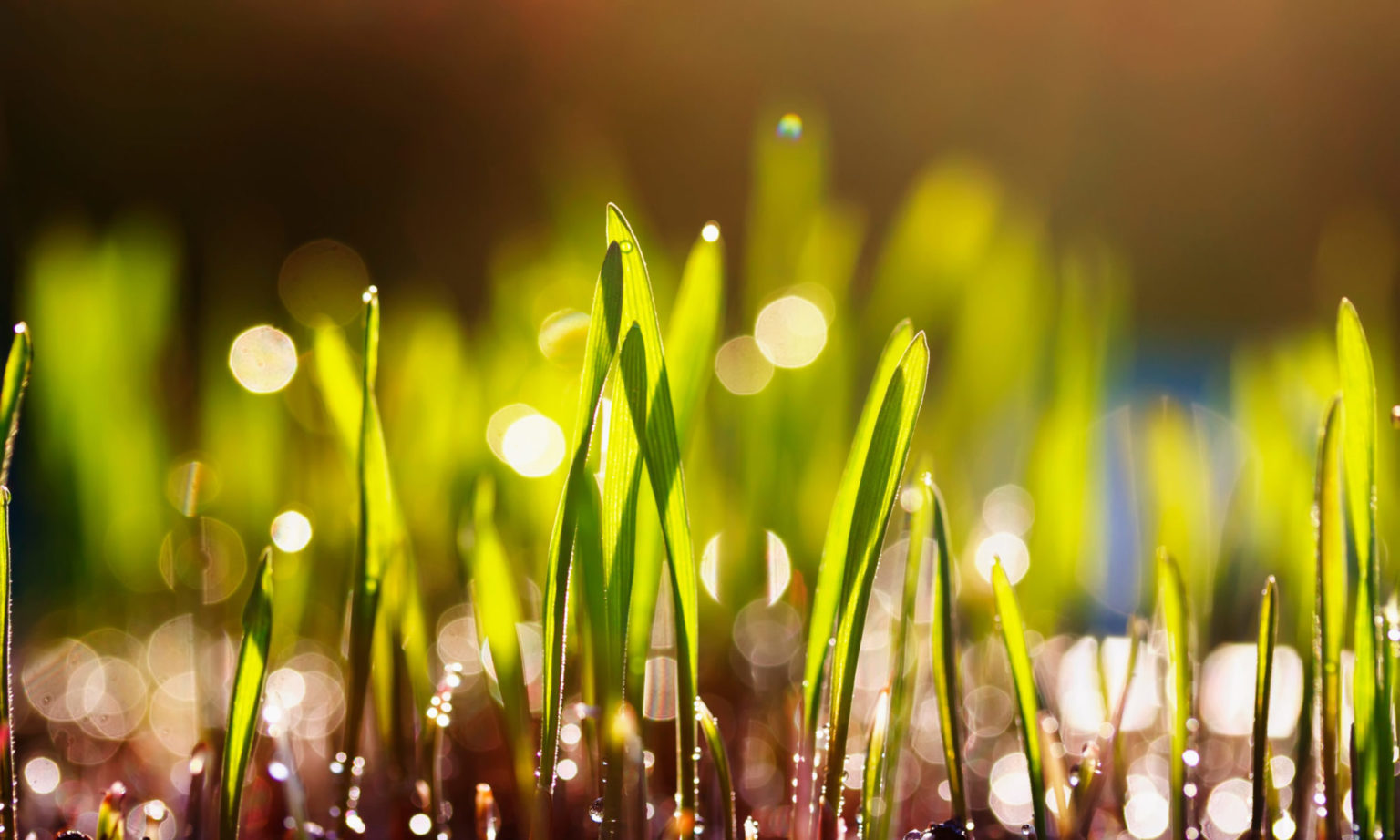 bio-based-thermoplastics-for-additive-manufacturing-by-material