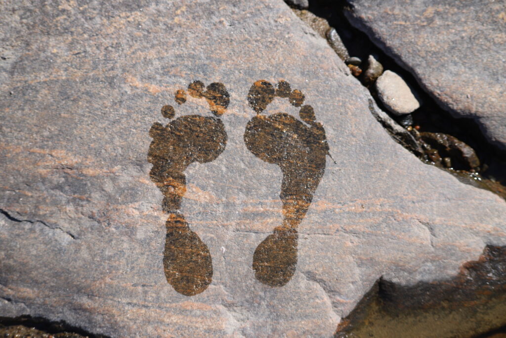 Wet footprints on a stone.