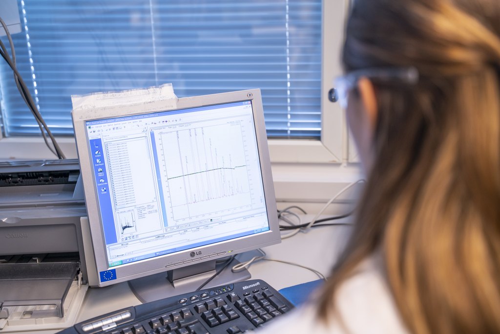 A person looking at a computer screen.