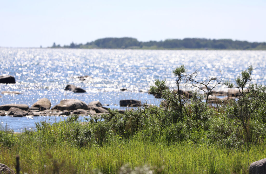 Näkymä Selkämerelle kesäisenä päivänä. Kuvassa avautuu merimaisema työelämäjakson toimintaympäristöstä.
