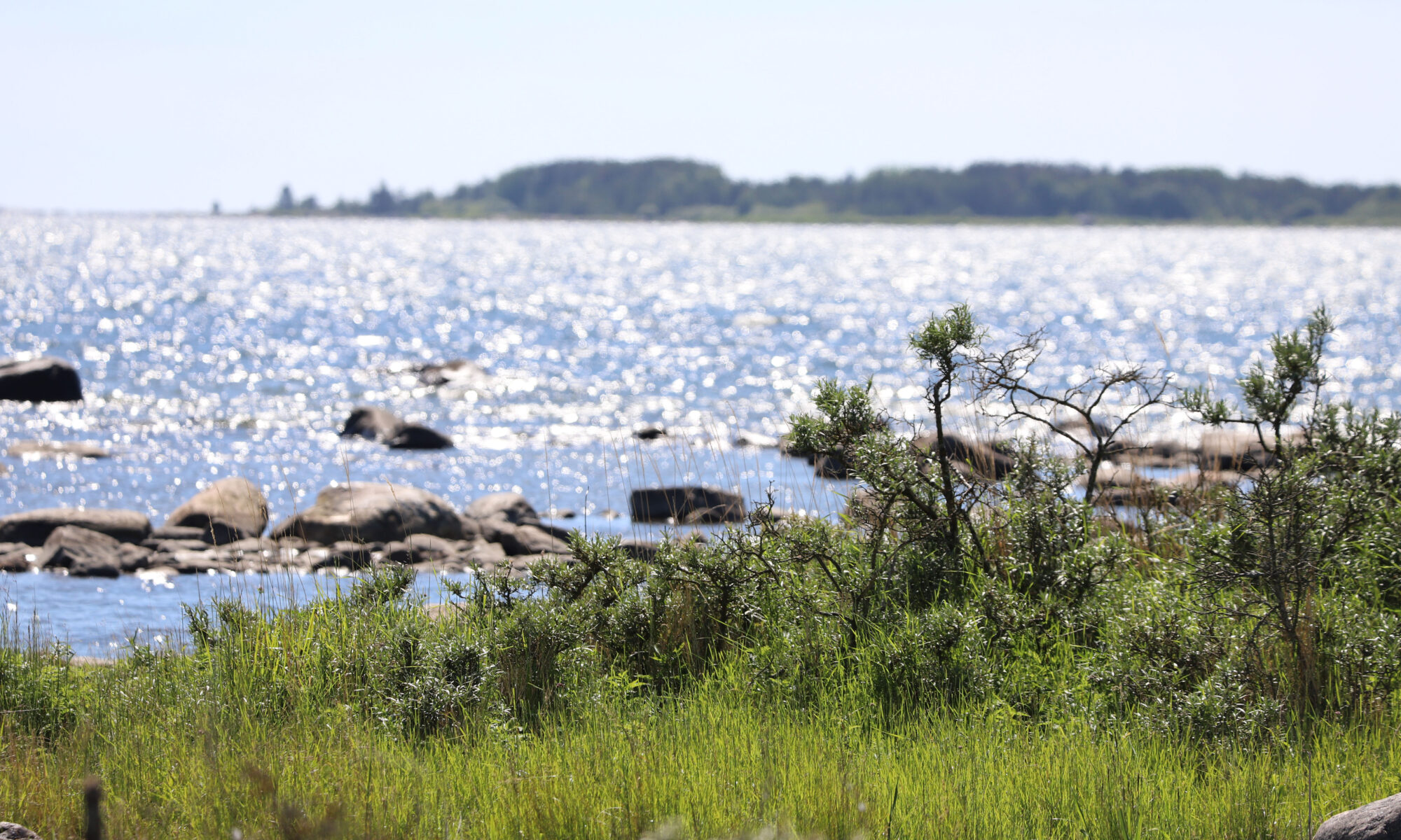Näkymä Selkämerelle kesäisenä päivänä. Kuvassa avautuu merimaisema työelämäjakson toimintaympäristöstä.